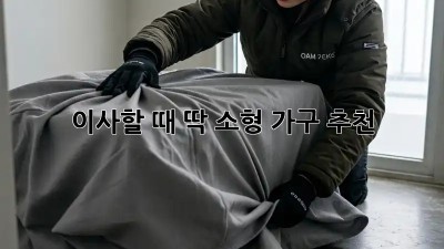 이사할 때 딱! 소형 가구 추천 ✨