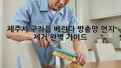 제주시 구좌읍 베란다 방충망 먼지 제거 완벽 가이드